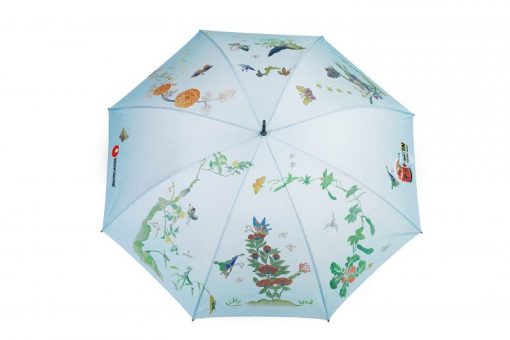 Image for Umbrella
